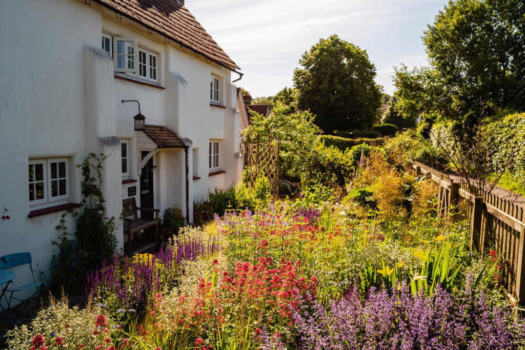 Think about the aspect of your Front Garden